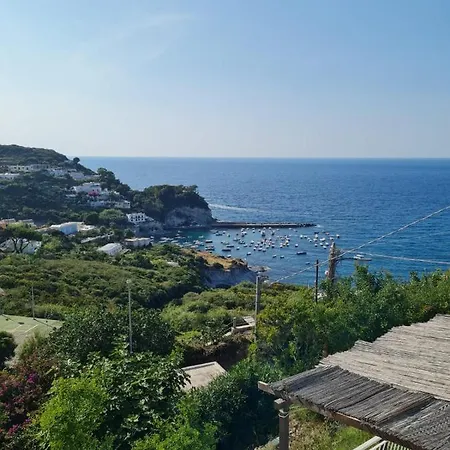 Le Dei Pescatori - Cristallo Ponza